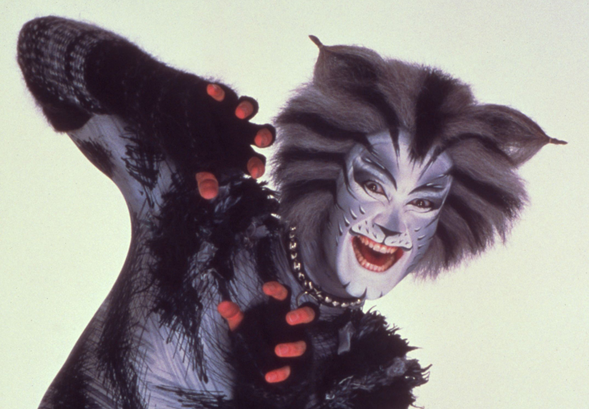 Michael Gruber as Munkustrap the tabby cat in Great Performances - Cats. Photo: Joth Shakerley