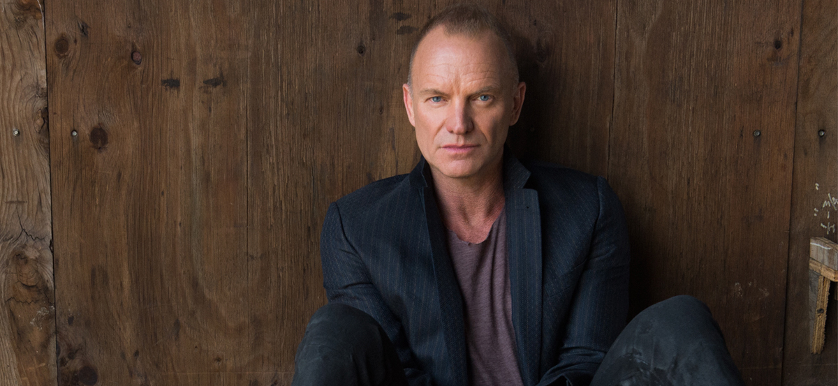 Sting Photo