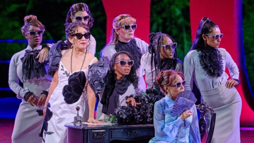 Twelfth Night -- Cesario tries to woo Olivia