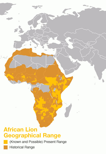 Lion Distribution Range