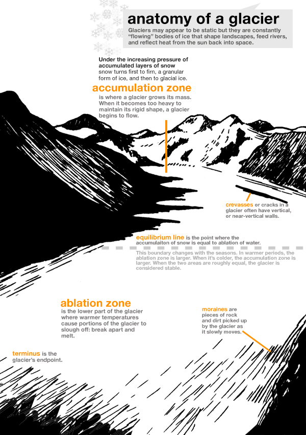 Anatomy of a Glacier