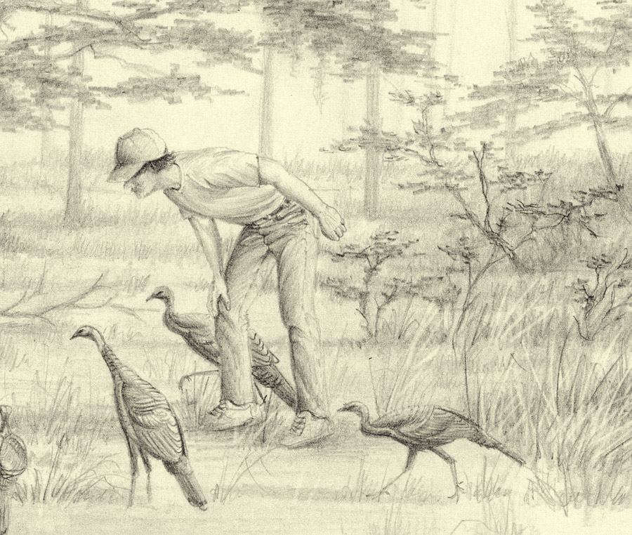 Joe Hutto with His Turkeys