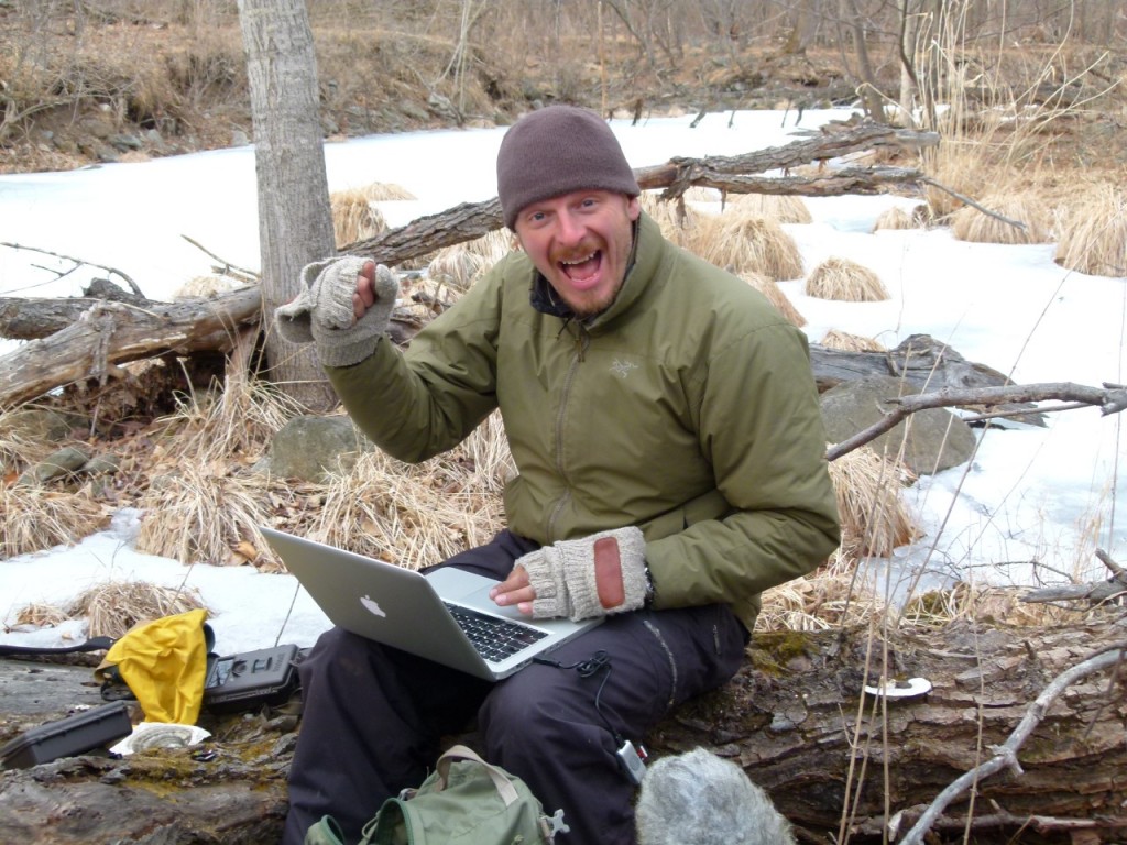 Siberian Tiger Quest