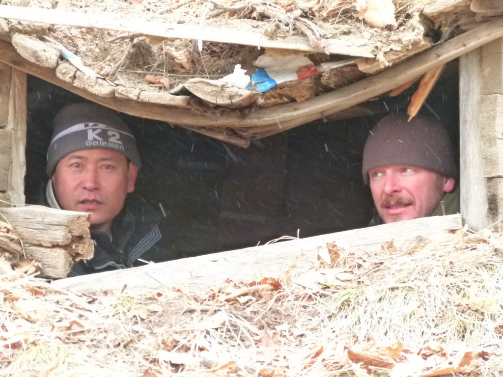 Siberian Tiger Quest