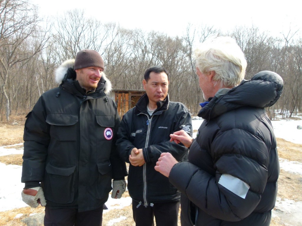 Siberian Tiger Quest