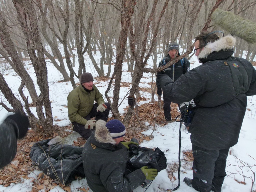 Siberian Tiger Quest