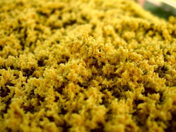 Yellow slime mold. (Photo by Flickr user frankenstoen. Useb via Creative Commons.)