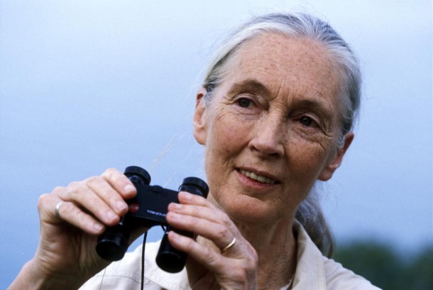 Jane Goodall | credit: www.janegoodall.org