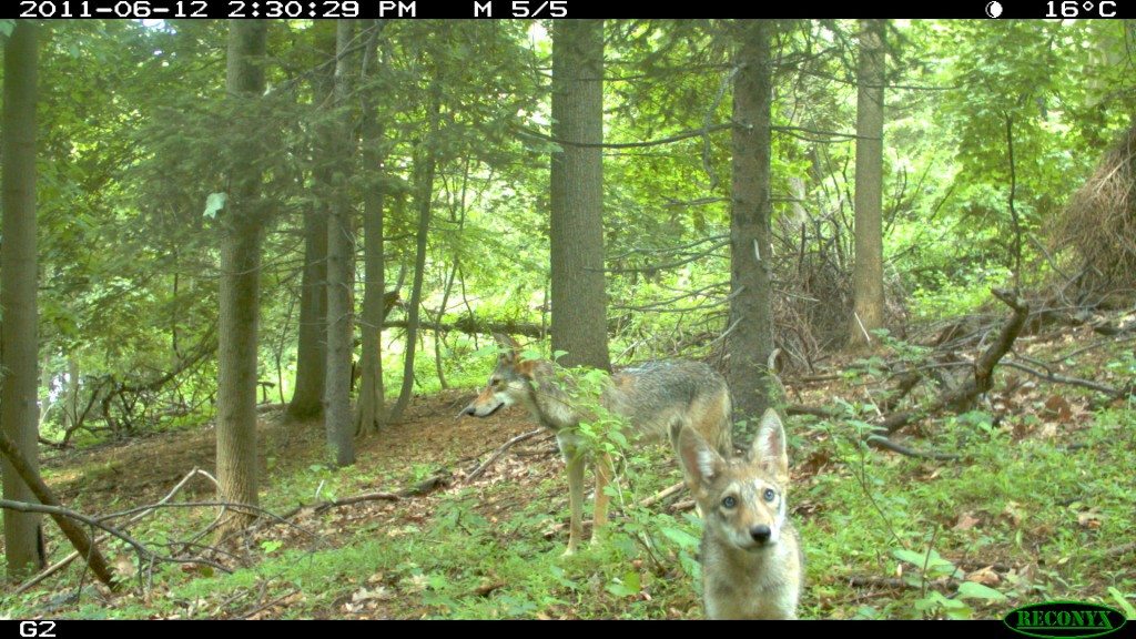 image00 (5)