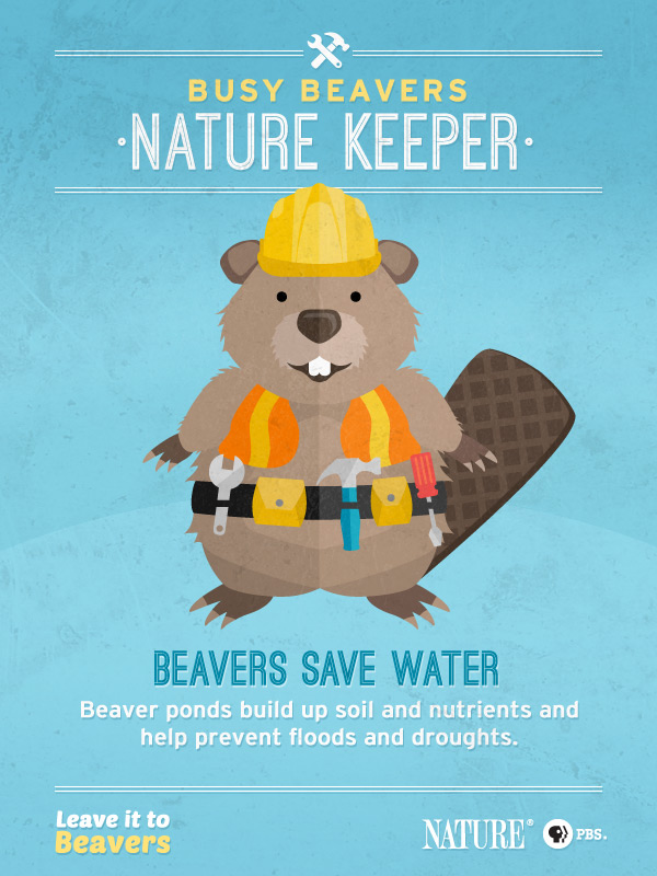 Leave it to Beavers: Nature Keeper