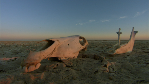  The Makgadikgadi Pans