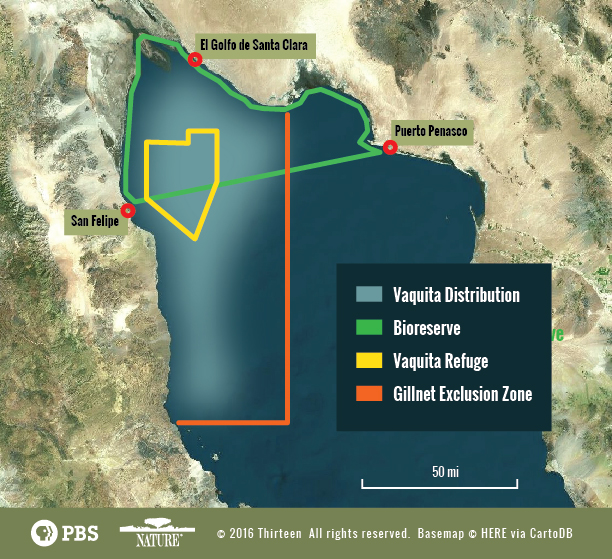 vaquita_map-03-01