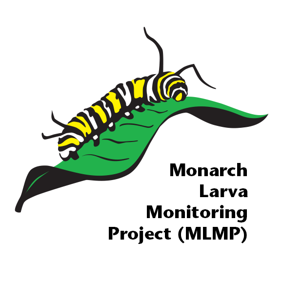 Monarch Larva Monitoring Project 