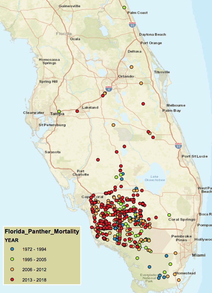 Panther Mortality Map