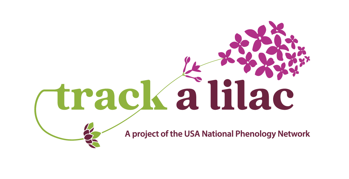 Track a Lilac