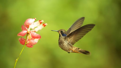 Sounds of Spring Spotify Playlist