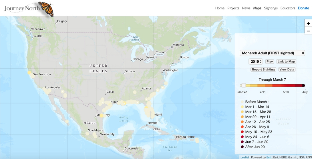 Monarch Map