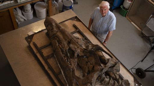 Attenborough and the Jurassic Sea Monster -- Preview of Attenborough and the Jurassic Sea Monster