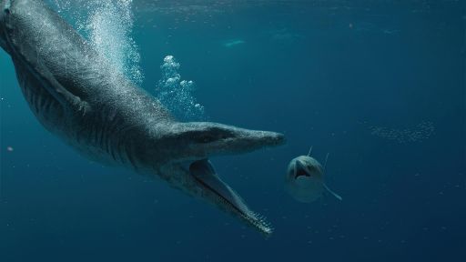 Attenborough and the Jurassic Sea Monster -- T-Rex vs. Jurassic Sea Monster