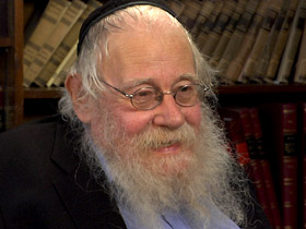 Rabbi Steinsaltz