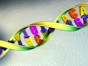 DNA