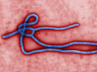 1804-ebola-NEWS-sm