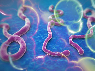 Ebola-story-NEWS-sm