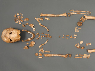 jamestown-discovery-skeleton-320