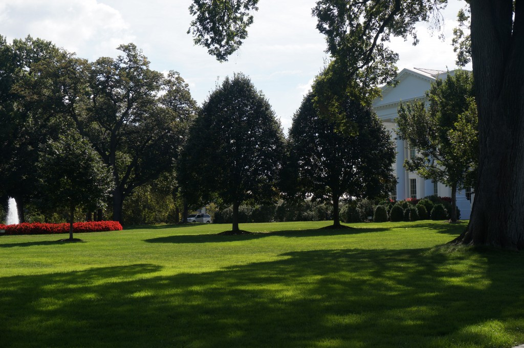DSC02003