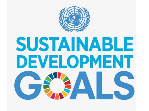 un-sustainable-development-goals-600x450