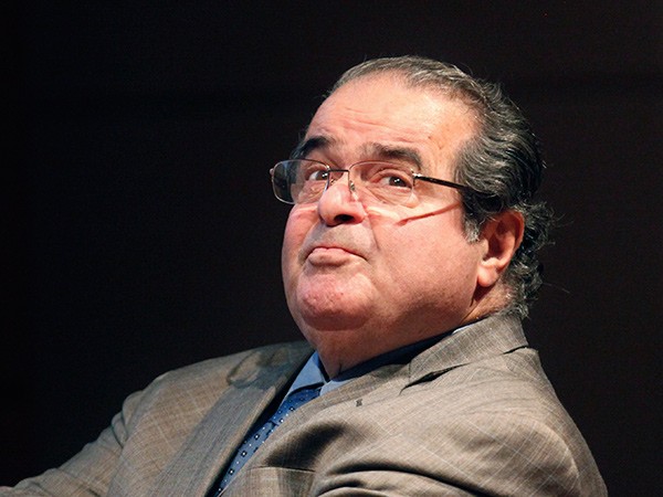 Scalia-600