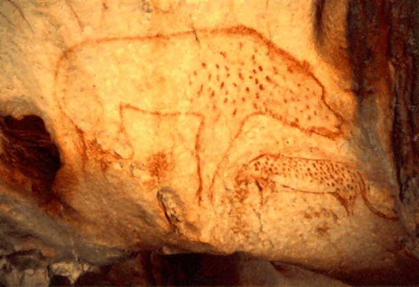 Cave hyena (Crocuta crocuta spelaea) painting found in the Chauvet cave and made public on January 17, 1995, by the Minister of Cultur Jacques Toubon. Date: 27 September 2006, Carla Hufstedler