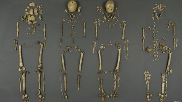 The remains of the Jamestown leaders (James Di Loreto/Smithsonian Institution)