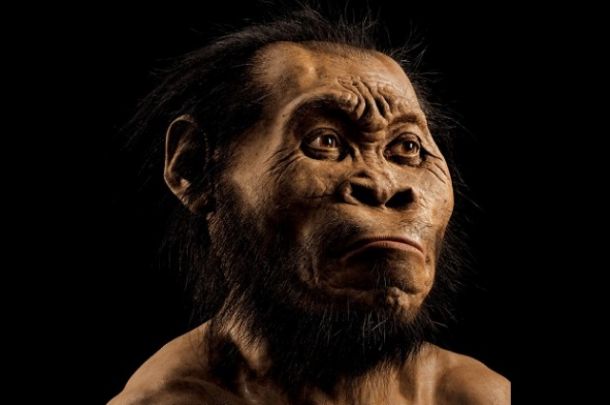 A reconstruction of Homo naledi’s head by paleoartist John Gurche, who spent some 700 hours recreating the head from bone scans. University of the Witwatersrand, National Geographic Society and the South African National Research Foundation.