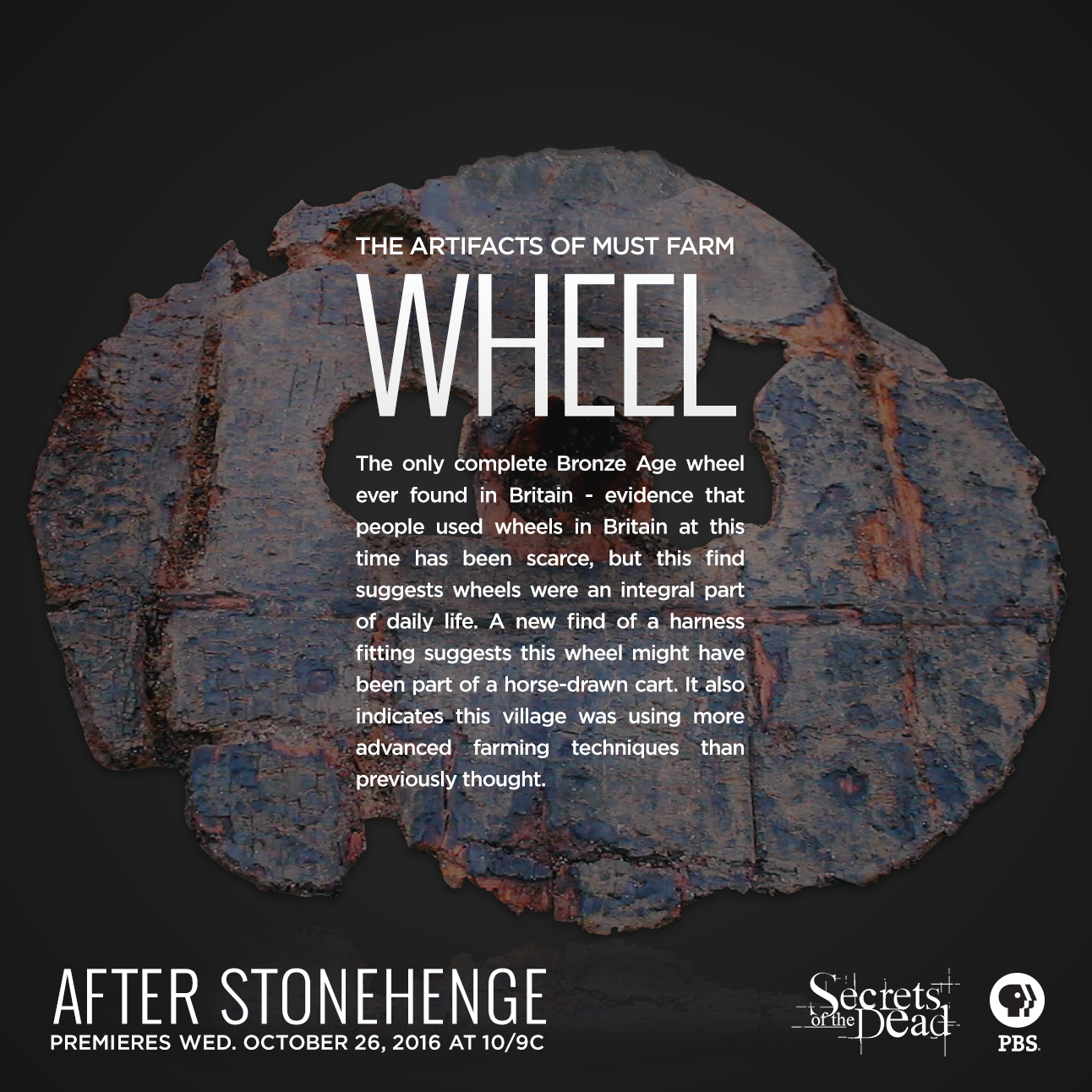 Secrets-AfterStonehenge-Wheel