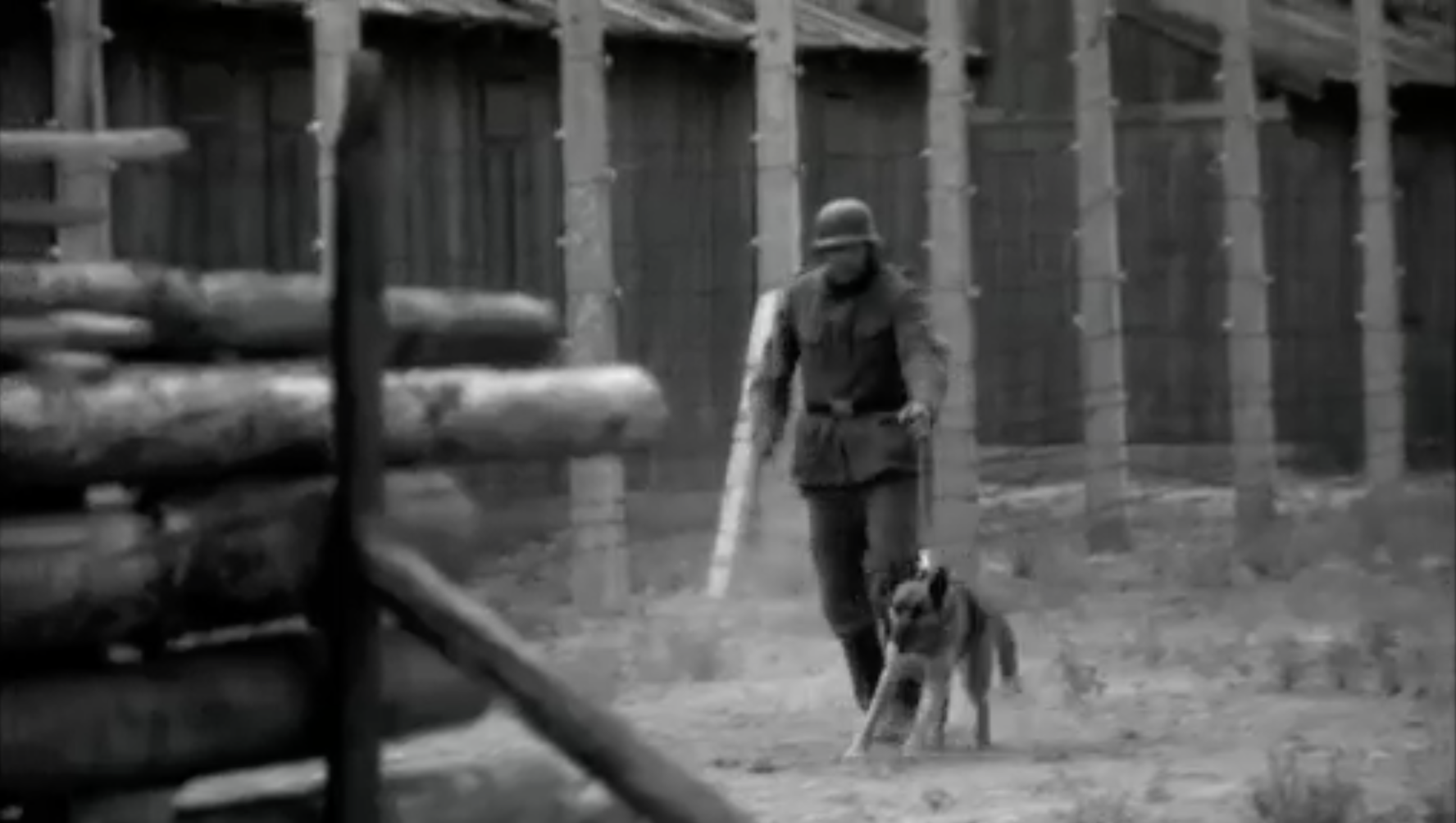 German SS and Dogs